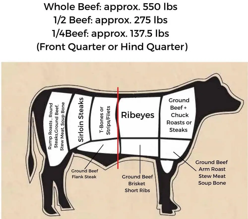 How Much is a Quarter Cow: A Practical Guide to Purchasing Quarter Shares of Beef