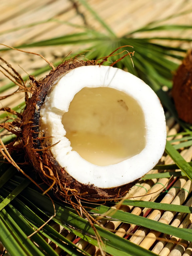 Unveiling the Truth About Coconuts: Are They Tree Nuts?