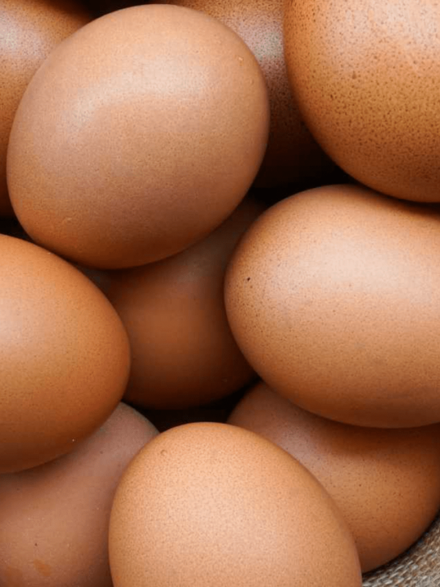 Protein Content in Eggs: A Nutritional Powerhouse